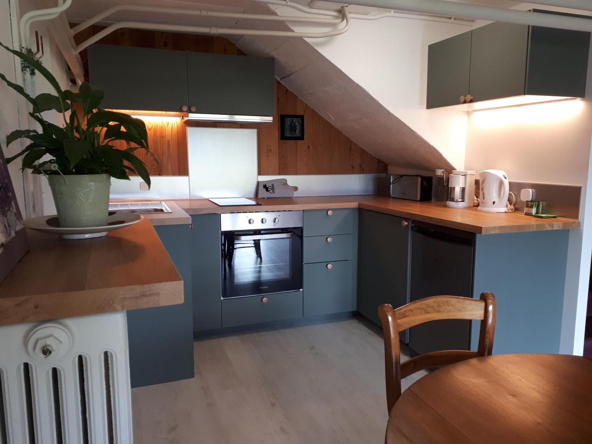 Bel Appartement Rez-De-Jardin Saint-Genest-Malifaux Экстерьер фото